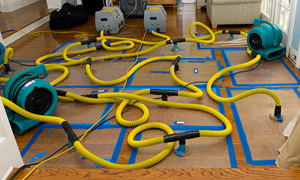 Professional Water Damage Repair technician working in Albright, WV